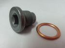 Proton Savvy Renault Oil Drain Sump Plugs with Seal